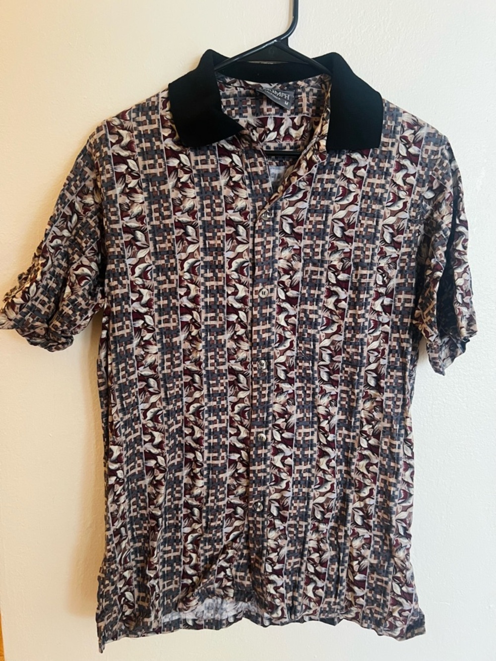 Triumph Black-Collar Multicolor Polo